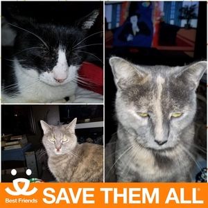 Meet your Posher, Marisol